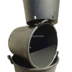 Extra Grote Palmpot - Ø 65 Cm / 110 Ltr [pallet] -Tuin Gloed Verkoop 1927583466