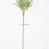 Salix Hakuro Nishiki - Pot 5 Ltr