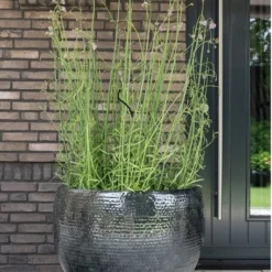 Thom - Black - D54H44 Cm -Tuin Gloed Verkoop 1978103064