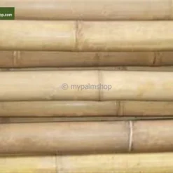 Bamboestokken 10 X - 180 Cm X Ø 18-20 Mm [pallet] -Tuin Gloed Verkoop 1980176745