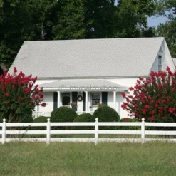Lagerstroemia Indica Berry Dazzle - Totale Hoogte 30-40 Cm - Pot Ø 18 Cm -Tuin Gloed Verkoop 1991161950
