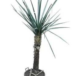 Yucca Torreyi Stam 90-100 Cm [pallet]