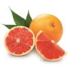 Citrus Paradisi Rood - Stam 15-25 Cm - Totale Hoogte 50-60 Cm - Pot 11 X 11 Cm